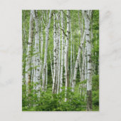 Yakumo-mura, prefectuur Nagano, centrale Honshu Briefkaart (Voorkant)