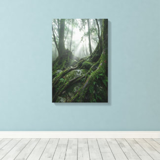 Yakushima 'Breath of Life' | Ancient Biophilic Canvas Afdruk
