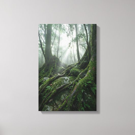 Yakushima 'Breath of Life' | Ancient Biophilic Canvas Afdruk (Voorkant)
