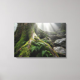 Yakushima Mosbos 'Adem van het Leven' | Biophilisc Canvas Afdruk
