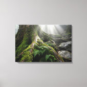 Yakushima Moss Forest 'Breath of Life' | Biophilic Canvas Afdruk (Voorkant)