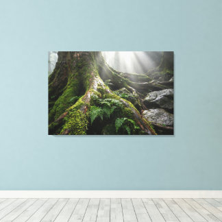 Yakushima Moss Forest 'Breath of Life' | Biophilic Canvas Afdruk
