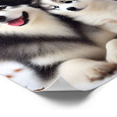 Yakutian Laika hond moeder en haar puppy Poster (Hoek)