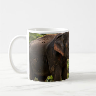 Yala National Park Olifant Mok - Sri Lanka Wildlif