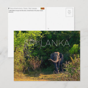 Yala National Park, Sri Lanka Reisansichtkaart Briefkaart