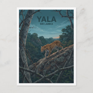 Yala National Park Tissamaharama Sri Lanka Reizen Briefkaart