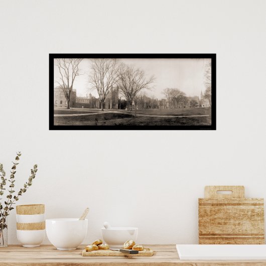 Yale Campus Birdseye Foto 1902 Poster (Keuken)