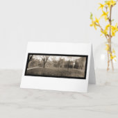 Yale, CT van New Haven Foto 1909 Kaart (Gele Bloem)