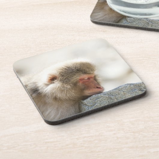 Yamanouchi, Chubu, prefectuur Nagano, Japan Bier Onderzetter (Linkerzijde)