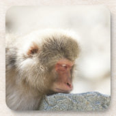 Yamanouchi, Chubu, prefectuur Nagano, Japan Bier Onderzetter (Voorkant)