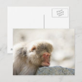 Yamanouchi, Chubu, prefectuur Nagano, Japan Briefkaart (Voorkant / Achterkant)