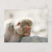 Yamanouchi, Chubu, prefectuur Nagano, Japan Briefkaart (Voorkant)