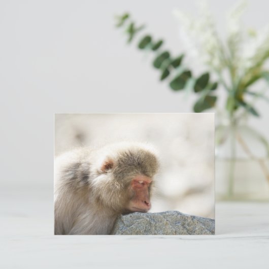 Yamanouchi, Chubu, prefectuur Nagano, Japan Briefkaart (Staand voorkant)