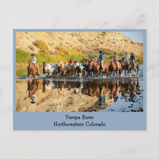 Yampa River - Western Travel Briefkaart (Voorkant)