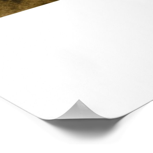 Yang en Yin Poster (Hoek)