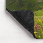 Yankee Boy Basin, Colorado Muismat (Hoek)