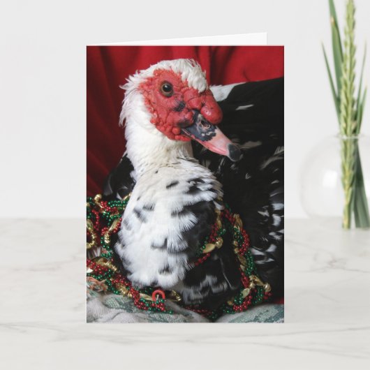 Yankee the Muscovy Drake, Kerstmis Feestdagen Kaart (Voorkant)