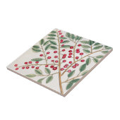 Yapon Holly Berries, Catesby  Natuur Art Tegeltje (Zijkant)