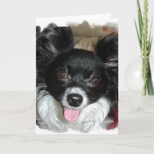Yappy Birthday Kaart (Voorkant)