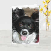 Yappy Birthday Kaart (Gele Bloem)