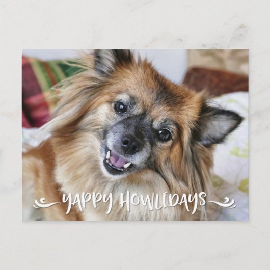 YAPPY HOWLIDAYS | Funny Dog Photo Feestdagenkaart (Voorkant)