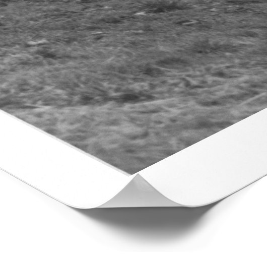 Yaquina Bay Bridge in Newport, Oregon  Poster (Hoek)