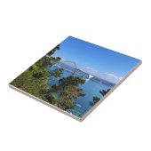 Yaquina Bay Bridge, Newport, Oregon Tegeltje (Zijkant)