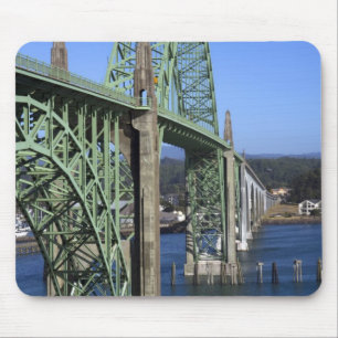 Yaquina Bay-brug overspant de Yaquina Bay Muismat