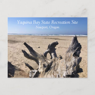 Yaquina Bay State Recreation Site, Newport, Oregon Briefkaart