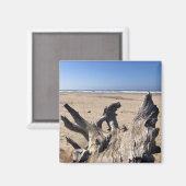 Yaquina Bay State Recreation Site, Newport, Oregon Magneet (Voorkant / Achterkant)