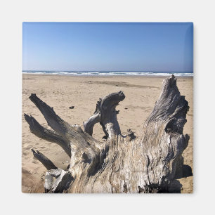 Yaquina Bay State Recreation Site, Newport, Oregon Magneet