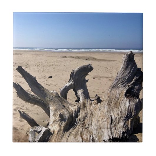 Yaquina Bay State Recreation Site, Newport, Oregon Tegeltje (Voorkant)