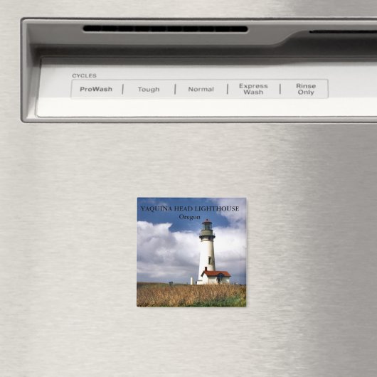 Yaquina Head Lighthouse, Oregon Magnet (Insitu (Vaatwasser))