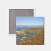 Yaquina Head-vuurtoren in Newport Oregon Magneet (Voorkant / Achterkant)