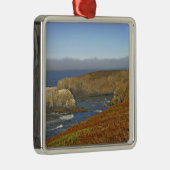 Yaquina Head-vuurtoren in Newport Oregon Metalen Ornament (Rechts)