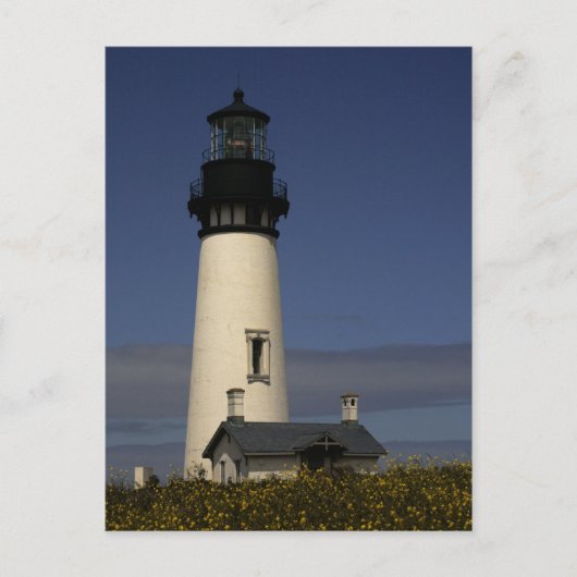 Yaquina Head vuurtoren—NIEUW Briefkaart (Voorkant)