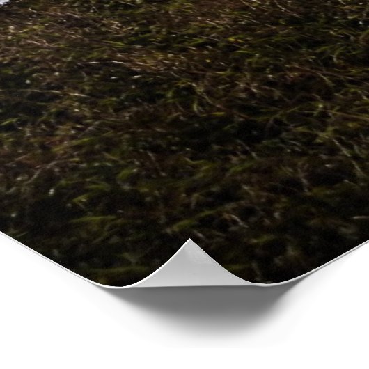 Yaquina Lighthouse Blue Poster (Hoek)