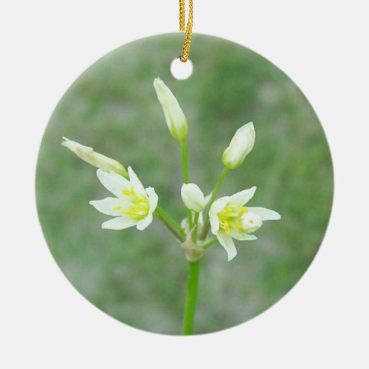 Yard Flowers Memorial Ornament (Voorkant)