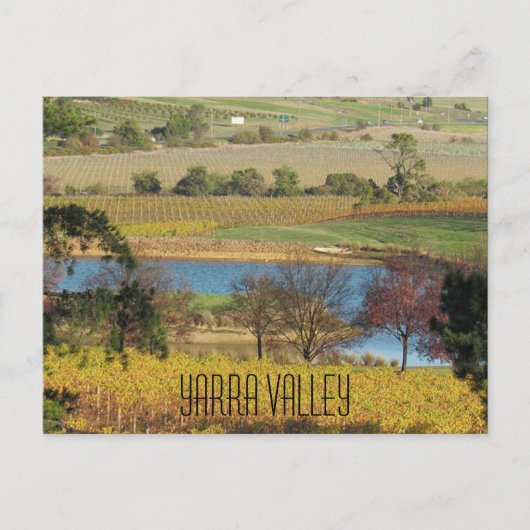 yarra valley vineyard briefkaart (Voorkant)