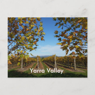 Yarra Valley Vineyard, Melbourne, Australië Briefkaart