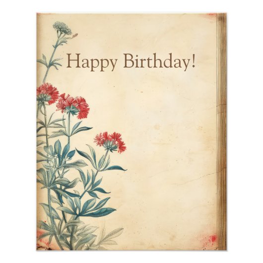 Yarrow bloem illustratie efemera foto afdruk (Voorkant)