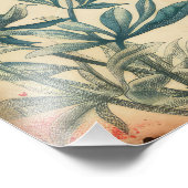 Yarrow bloem illustratie efemera foto afdruk (Hoek)