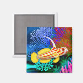 Yasha Hase Garnalen Goby Vismagneet Magneet (Voorkant / Achterkant)