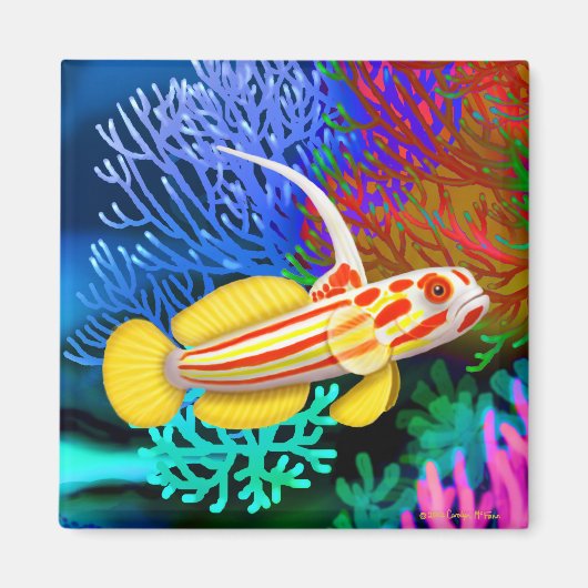 Yasha Hase Garnalen Goby Vismagneet Magneet (Voorkant)