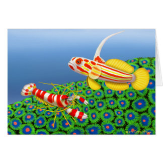 Yasha Hase Goby & Pistol Shrimp Card