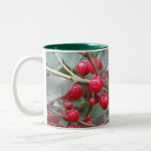 Yaupon Holly Mok (Links)