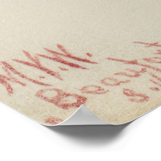 Yaupon (Ilex vomitoria) Poster (Hoek)