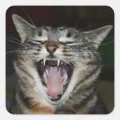 Yawner Sticker (Voorkant)