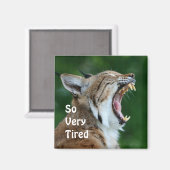 Yawning Bobcat Magneet (Voorkant / Achterkant)