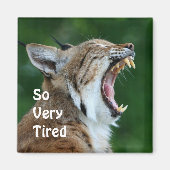 Yawning Bobcat Magneet (Voorkant)